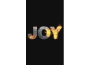 Дуэт Joy. Фаер-шоу Гомель